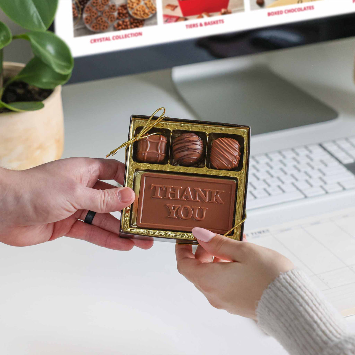 Business Card Plus (Thank You Logo)